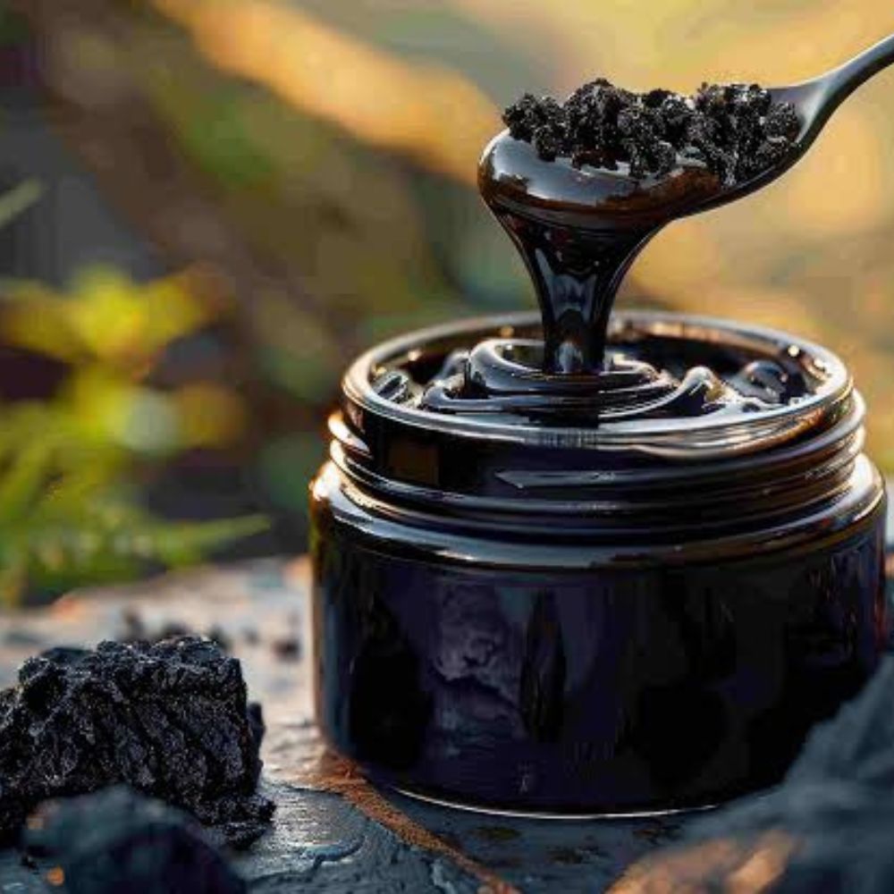 SHilajit 50GR